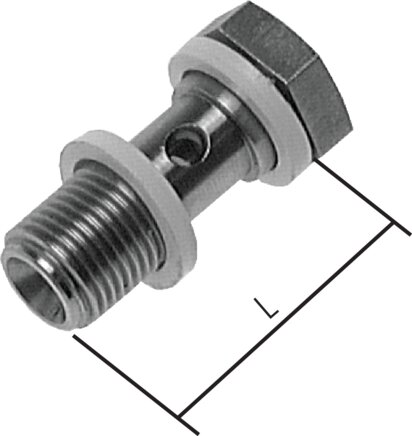 Exemplarische Darstellung: Edelstahl-Hohlschraube (1-fach)